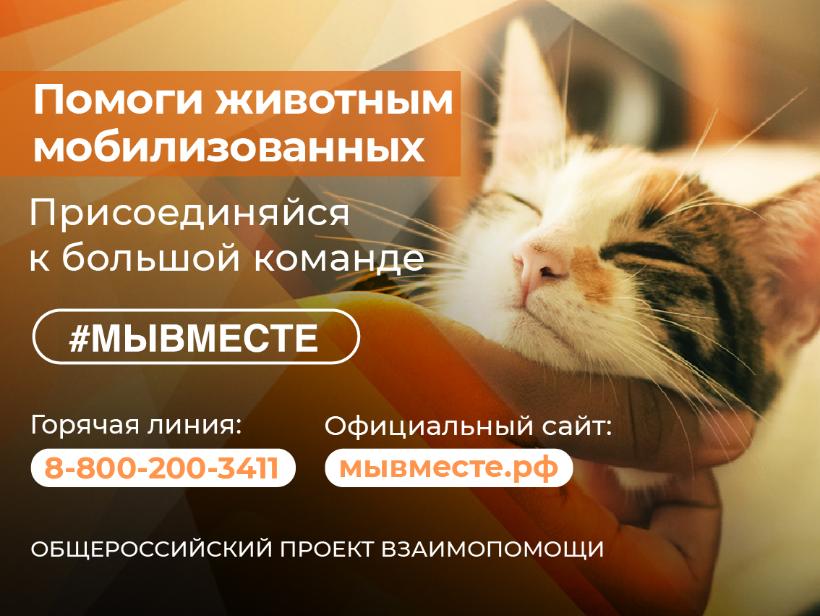 ������������ �������� #��������